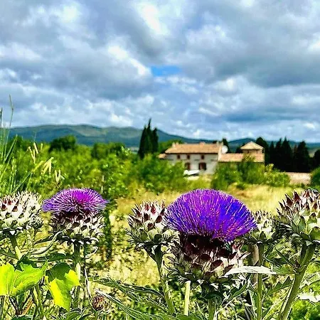 Apartman Piano Taurize