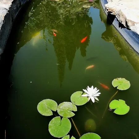 Apartman Piano Taurize