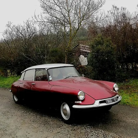 Apartman Piano Taurize