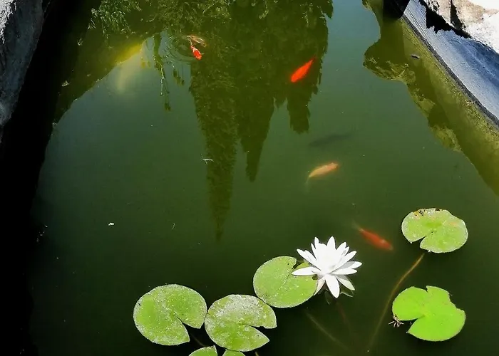 Apartment Piano Taurize